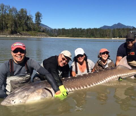 Best Vancouver Adventure Tours